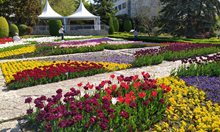 Гледките на 4-те сезона: Ботаническа градина в Балчик