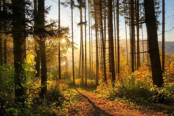 В планините ще преобладава ясно и слънчево време
Снимка: Пиксабей