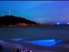 Морето край Китай засия в синьо (Видео)