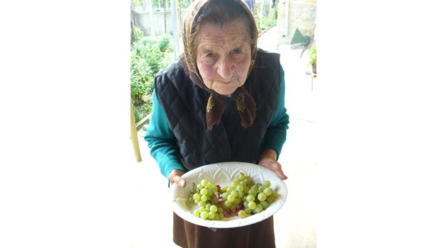 Първата ми среща с някогашната слугиня на ген. Стилиян Ковачев Мария Мирчева беше по гроздобер през 2015 г. Тогава тя караше своята 96-ата година.
Снимка: Ваньо Стоилов