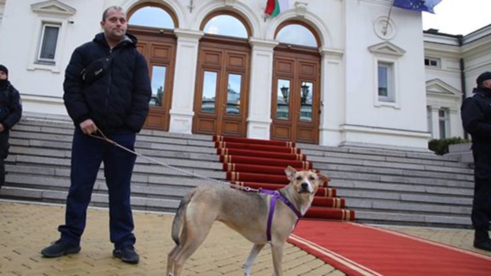Събират пари за храна на кучето Депутат