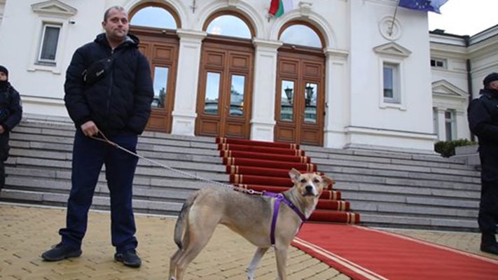 Депутат пред парламента със стопанина си