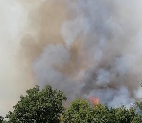 Голям горски пожар лумна до ивайловградското село Свирачи Снимка: Facebook/Областна администрация Хасково