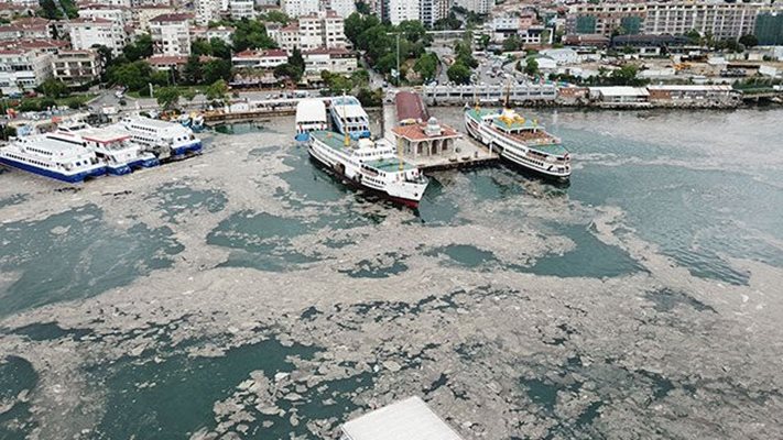 Усилия по разчистването на морската слуз се провеждат в 31 района в окръзите Истанбул, Коджаели, Бурса, Балъкесир, Чанаккале, Ялова и Текирдаг.
