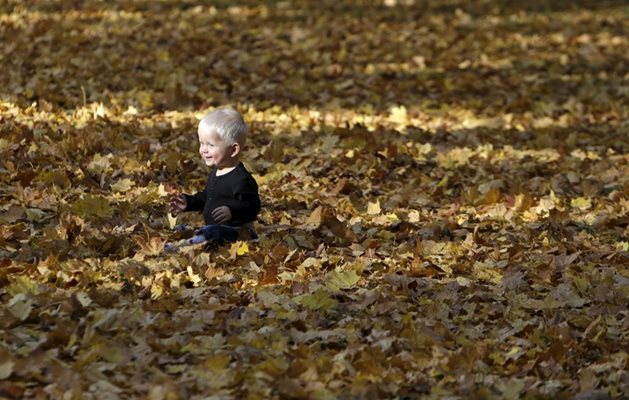 Дете седи сред есенни листа в Прага, Чехия.