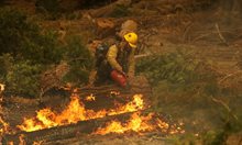 Емисиите на СО2 от горски пожари са достигнали рекордни нива това лято