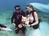 Британец и американка се ожениха под водата (Видео)