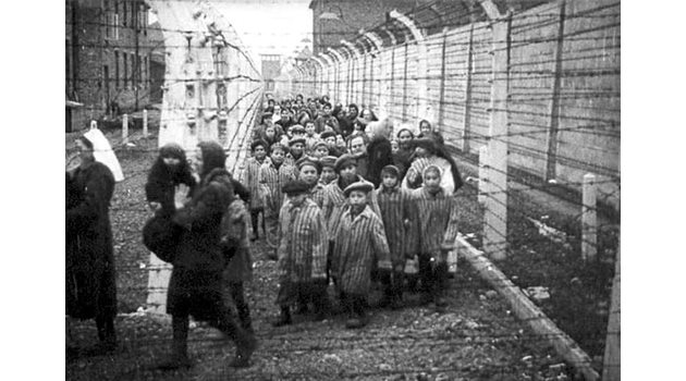 Душман е истински шокиран, когато събаря стената на Аушвиц и вижда хилядите трупове. Спасява 7000 души, 500 от тях били деца.