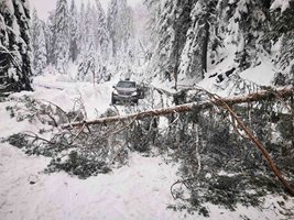 Между 30 и 40 населени места в община Елена продължават да имат проблеми с електрозахранването. СНИМКА: Архив