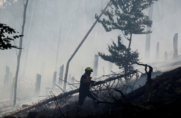 Над 700 пожарникари и доброволци се борят със стихията дни наред. СНИМКИ: РОЙТЕРС