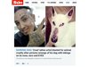 Татуист обвинен в жестокост към животните, татуира кучето си