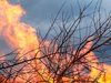 Пожарът край Росоман, който бе локализиран, отново се разгоря