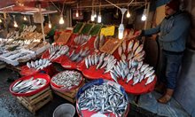 Риба тон, тилапия и скумрия с най-много живак