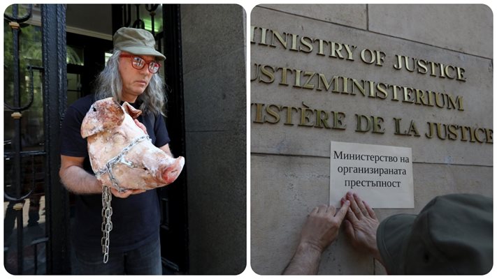 ШОК! Поставиха замразена свинска глава пред Министерството на правосъдието (снимки)