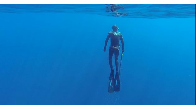Едни от най-красивите подводни снимки на Голямото синьо, са на Слави