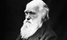 Чарлз Дарвин, COVID-19, Малтус и стадният имунитет