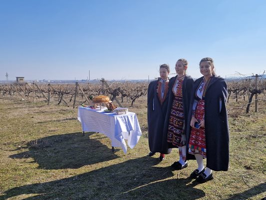 Край масивите беше поставена маса с питката и печения петел.