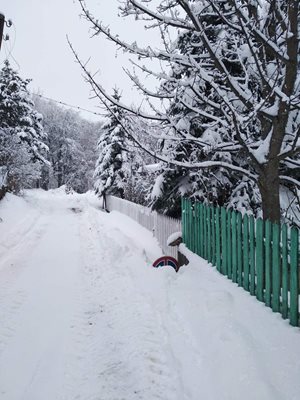 В Бойково се радват на снега