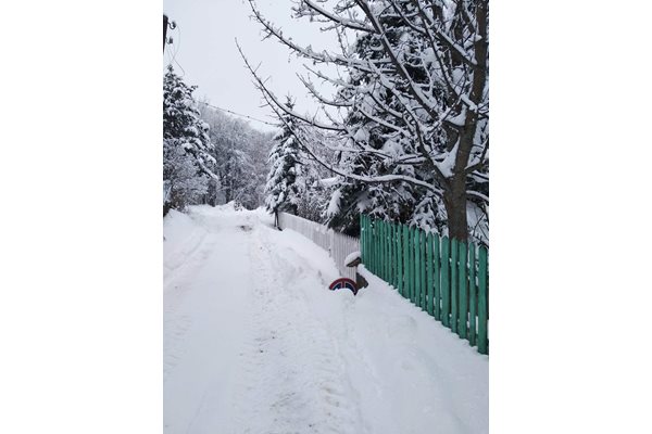 В Бойково се радват на снега