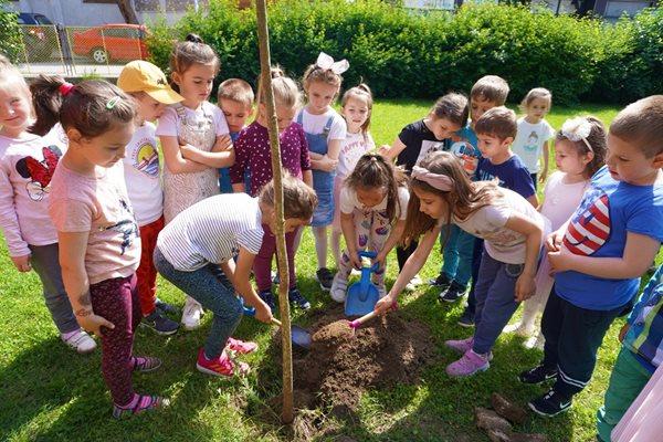 Бъдещи първокласници засадиха дръвчета в детските си градини