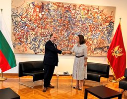 Найден Тодоров се срещна с министъра на културата на Черна гора Тамара Вуйович