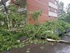 Ураган в Москва уби 12 души, рани десетки (Обзор, видео, снимки)