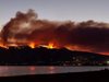 Пожарът в Калифорния достига размерите на Лос Анджелис (Снимки, видео)