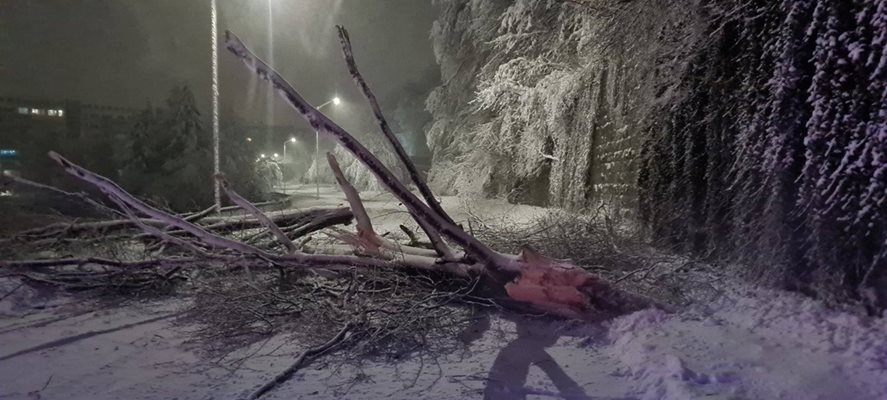 През нощта продължи снегопочистването на територията на Столичната община