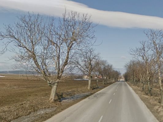 Пътят Златна нива - Избул СНИМКА: Google Street View