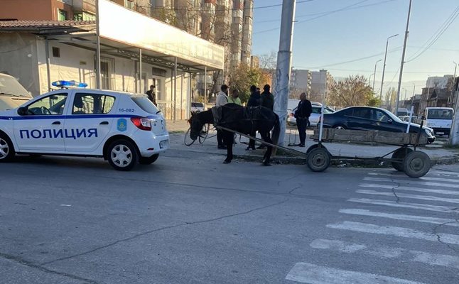 Според зам.-кмета Ангел Славов каруците в Пловдив са намалели.