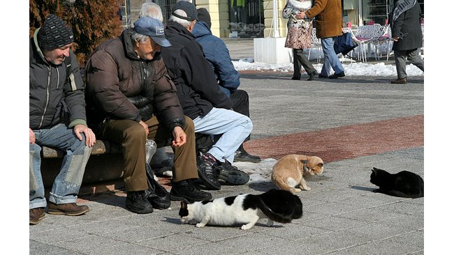 The scissors for pensions have dissolved: Sofia residents are taking BGN 200 more