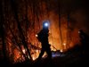 Локализиран е пожарът в Голешево, няма опасност за хората