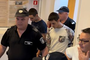 С "Убийци" посрещнаха близнаците в пловдивския съд, майката заплака (Снимки, видео)