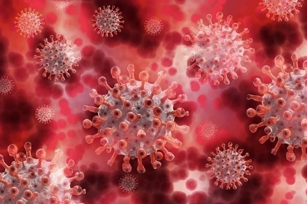 38 нови случаи на коронавирус у нас, починали няма