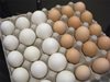 Уличиха трима работници в кражба на яйца и бутчета от птицеферма
