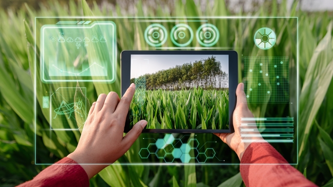 Китай насърчава научно-технологичните иновации в селското стопанство