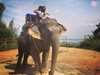 Преслава и гаджето й яхнаха слон в Тайланд