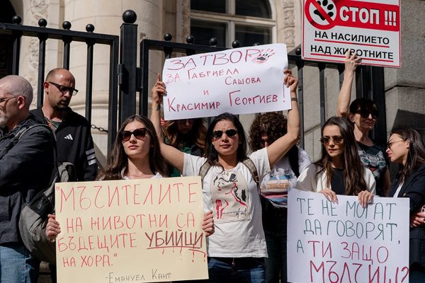 Десетки излязоха на протест с искане за сурови наказания за мъчителите и убийците на животни