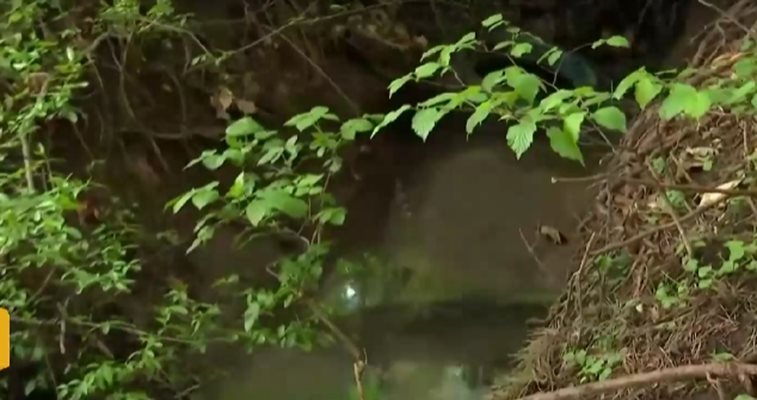 Замърсената река в района на парк "Княжевска борова гора" Кадър: Нова