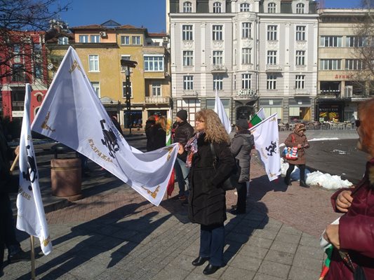 Членове на пловдивската структура развяха знамена на партия "Възраждане"