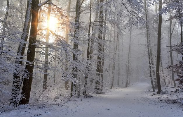 Валежи от дъжд и сняг, максимални температури от 0 до 5 градуса СНИМКА: Pixabay