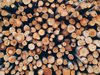 Увеличава се търсенето на дърва за огрев в Североизточна България