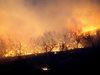 Голям пожар гори в Бачково