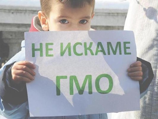 През миналата година в София имаше масови протести срещу разрешаването на отглеждането на генно модифицирани растения у нас.