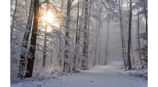 Валежи от дъжд и сняг, максимални температури от 0 до 5 градуса СНИМКА: Pixabay