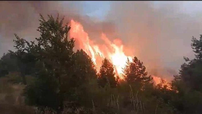 The fire near Kyustendilsko