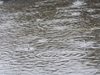 Наводнения в Калифорния заради проливни дъждове