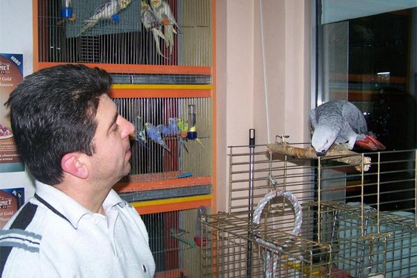 Георги си играе с любиомия папагал Руни.
СНИМКИ: АВТОРЪТ