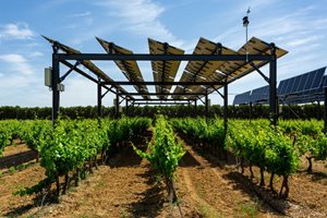 Фотоволтаичното земеделие - новата страст на фермерите в Западна Европа