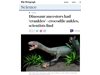 Предшественици на динозаврите са приличали на крокодили

